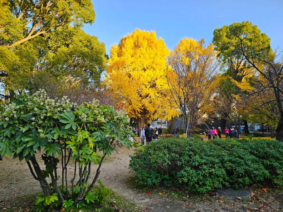 Parc d'Ueno