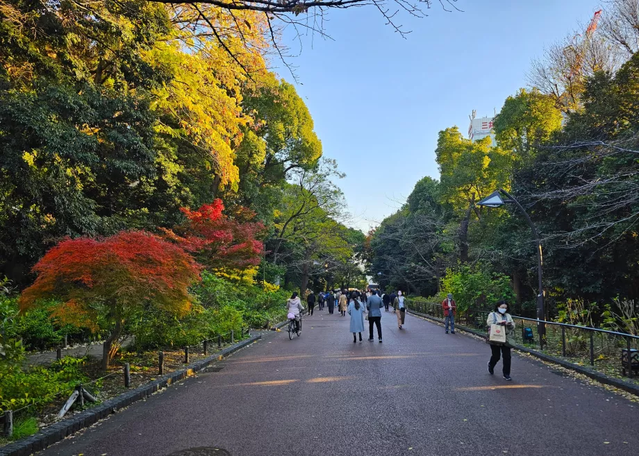 Parc d'Ueno