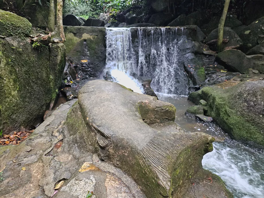 Jardin magique de Tamrin
