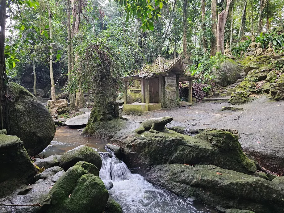 Jardin magique de Tamrin