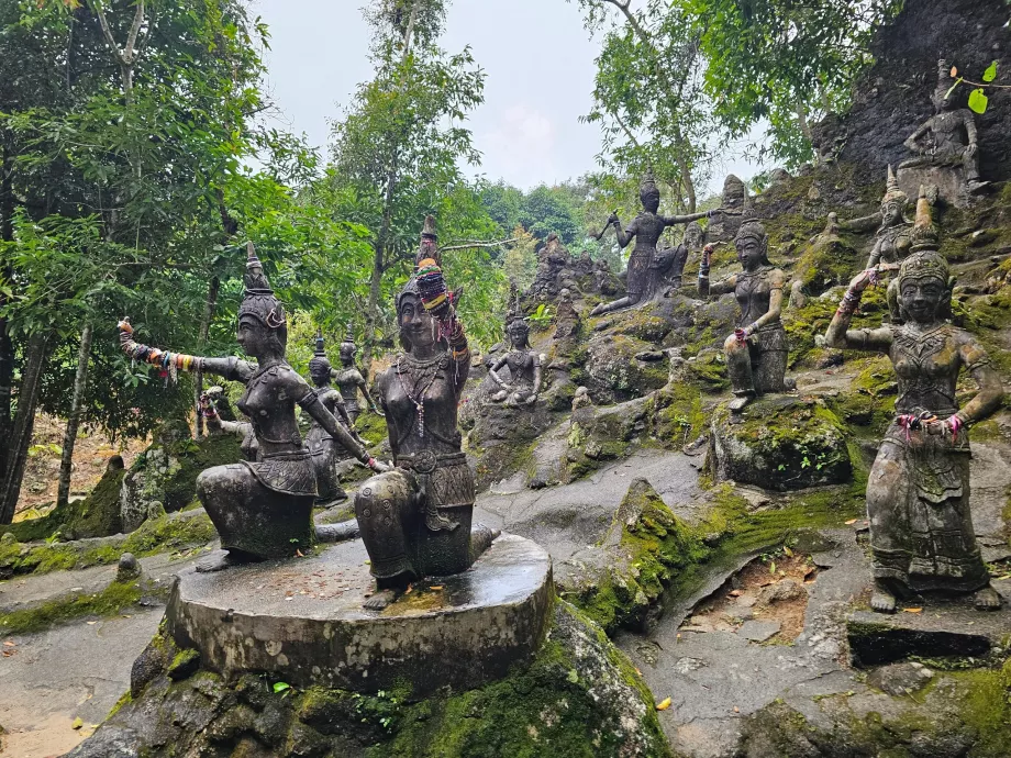 Jardin magique de Tamrin