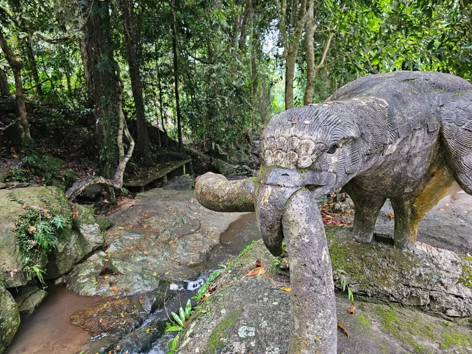 Jardin magique de Tamrin