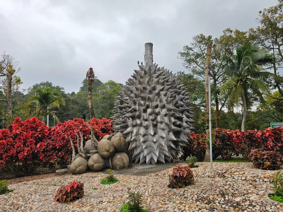 Fruits à noyau magique