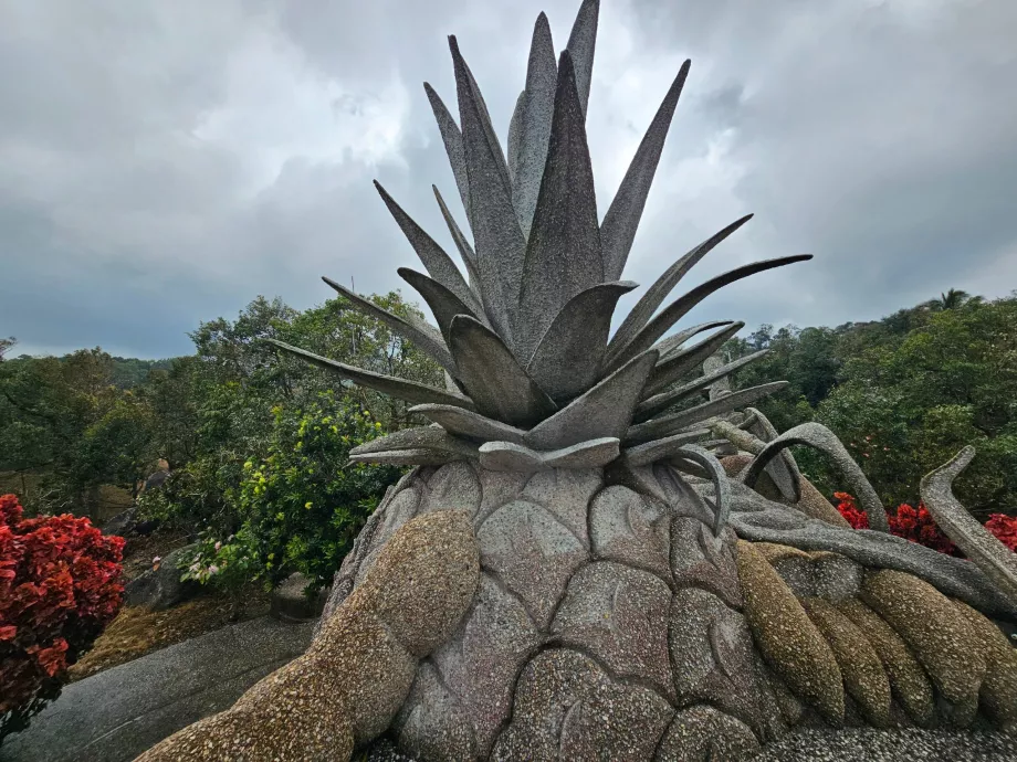 Fruits à noyau magique