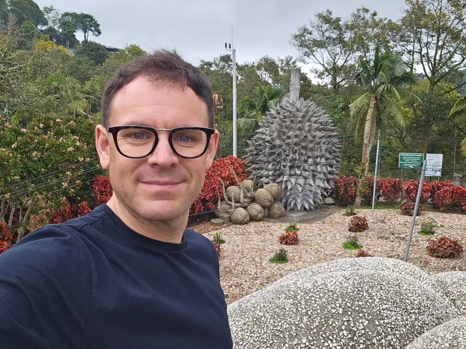 Fruits à noyau magique