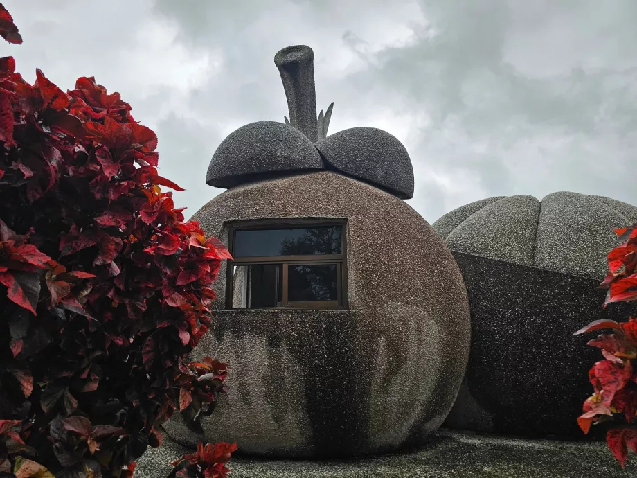 Fruits à noyau magique