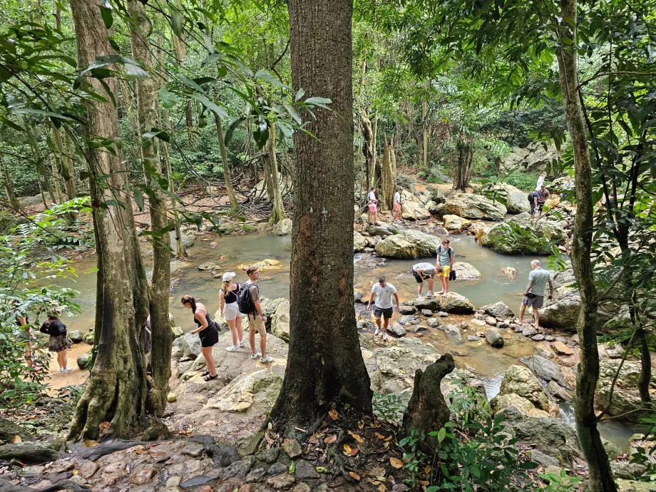 Chute d'eau de Na Muang 1