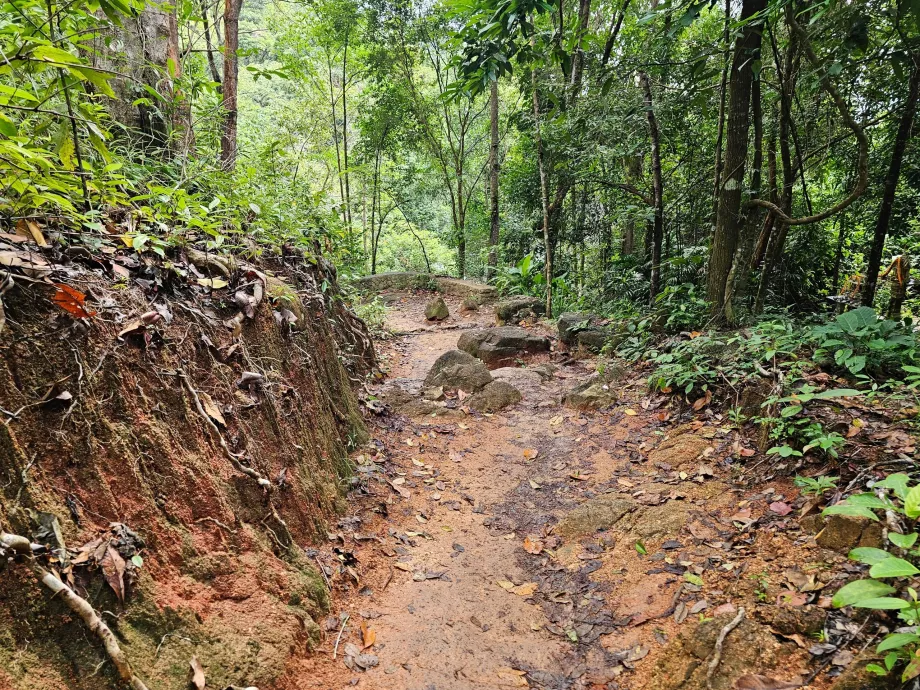 Route vers la cascade de Namuang 2