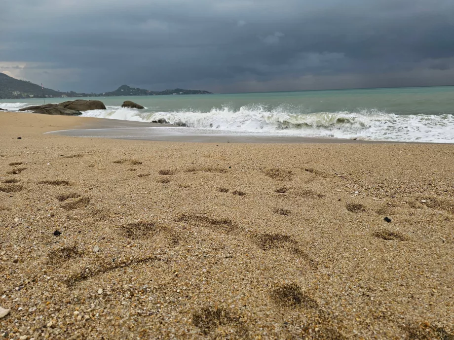 Sable plus grossier dans la partie sud de la plage de Lamai