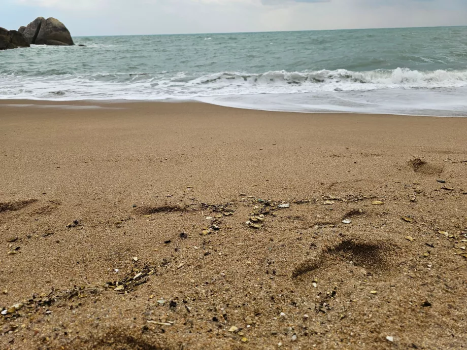 Plage de Coral Cove, qualité du sable