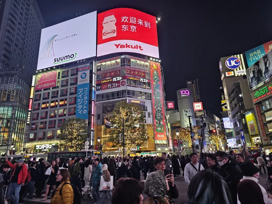 Shibuya Junction la nuit