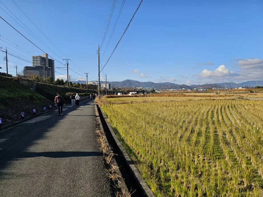 Marche de la gare au bateau