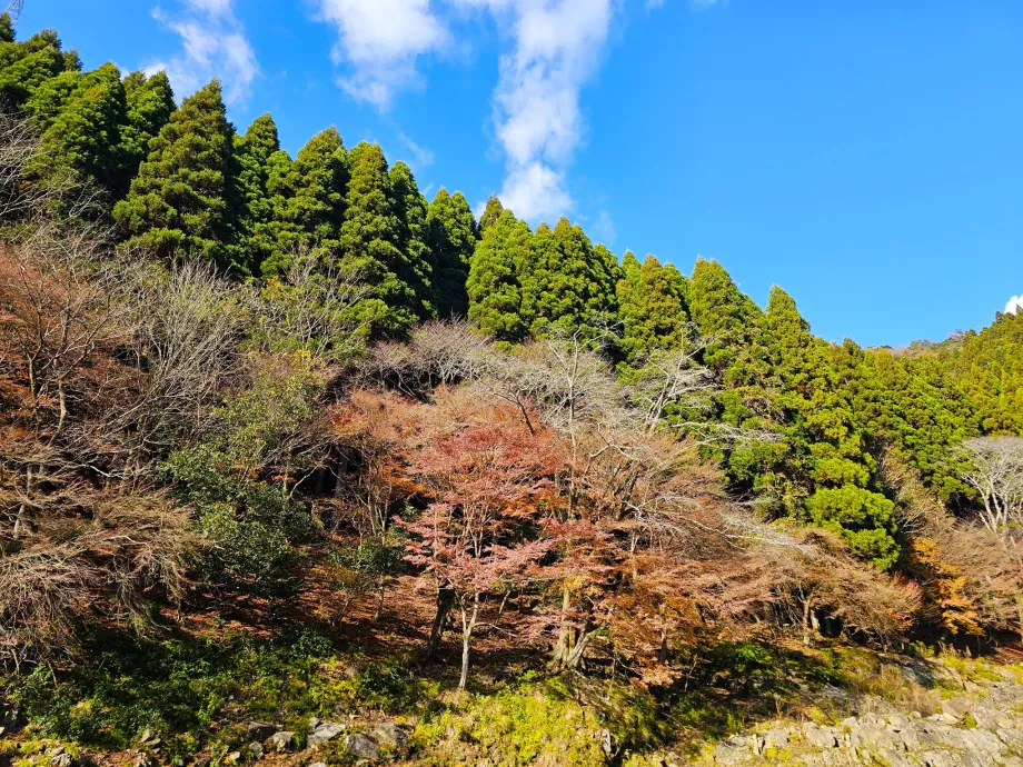 Navigation de plaisance