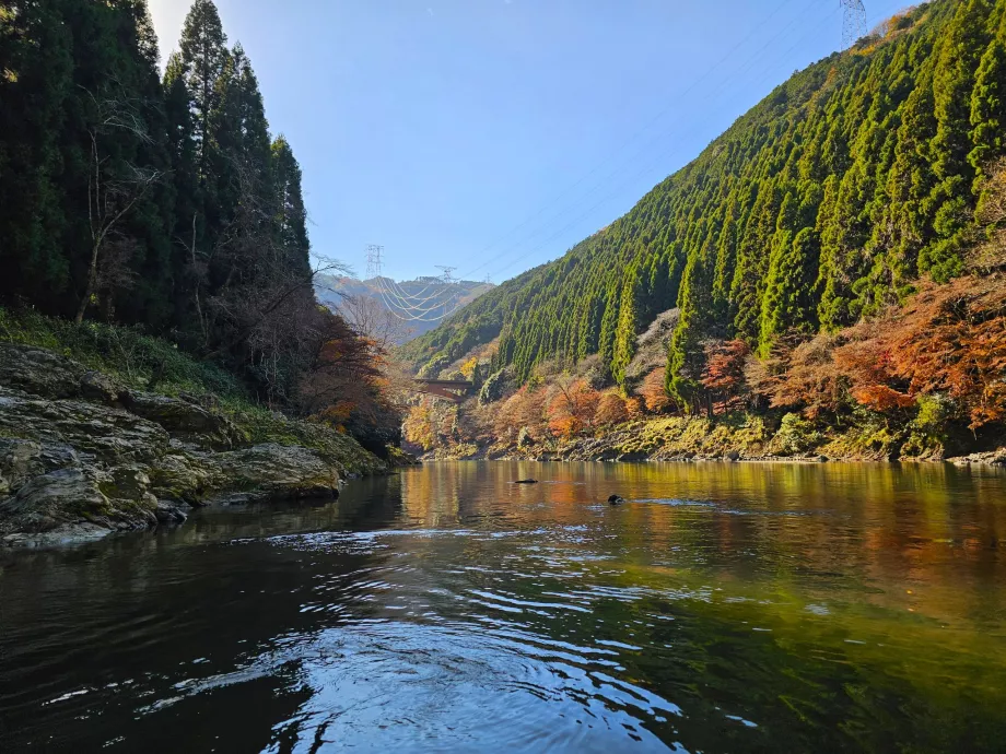 Navigation de plaisance