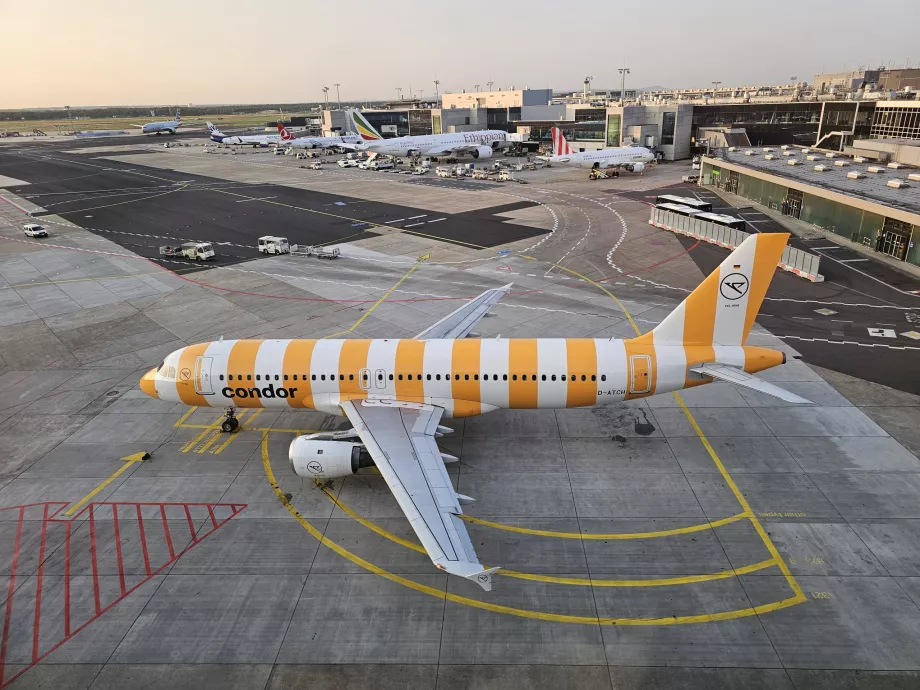 Un Airbus A320 jaune à l'aéroport de Francfort
