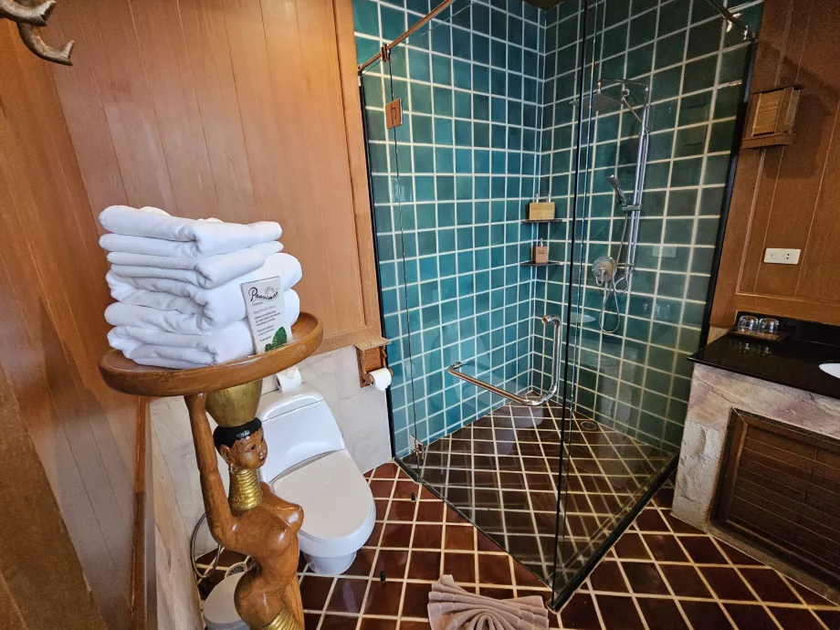 Salle de bains - toilettes et douche