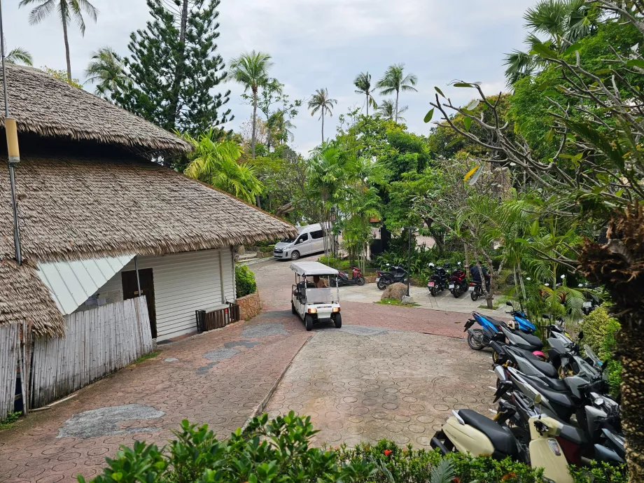 Stationnement des scooters