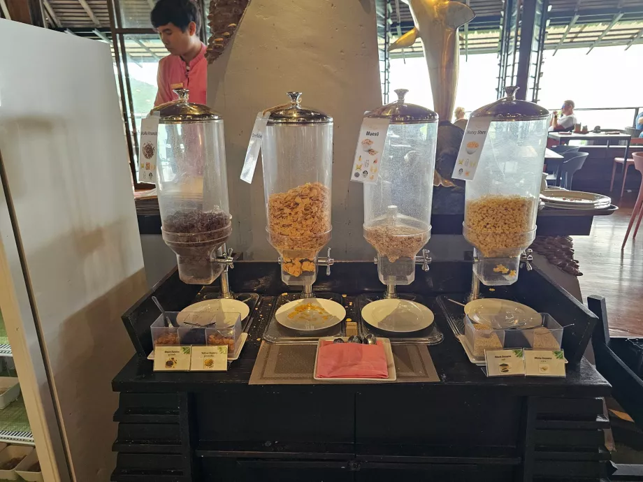 Petit-déjeuner : céréales