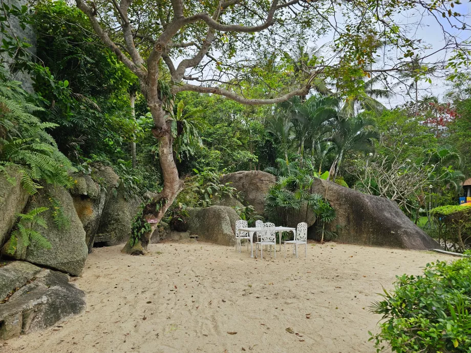 Assis dans le jardin