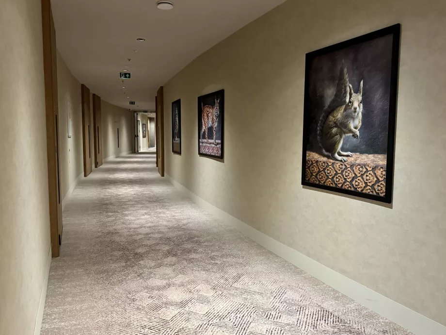 Couloir vers les chambres