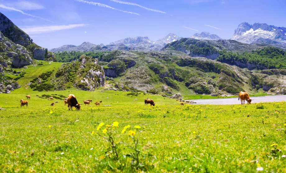 Asturies