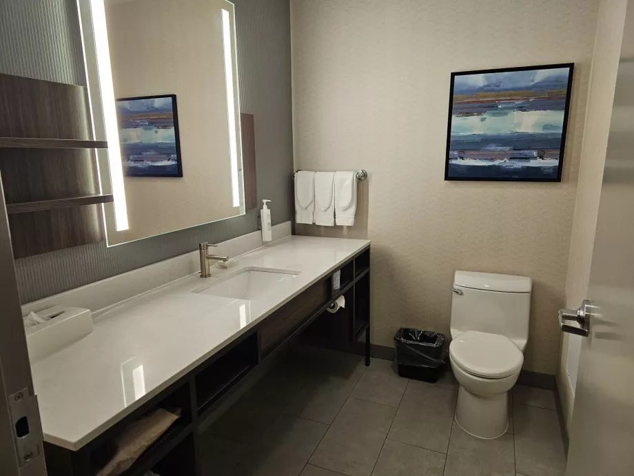 Hilton Garden Inn, salle de bain