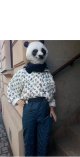 panda 
