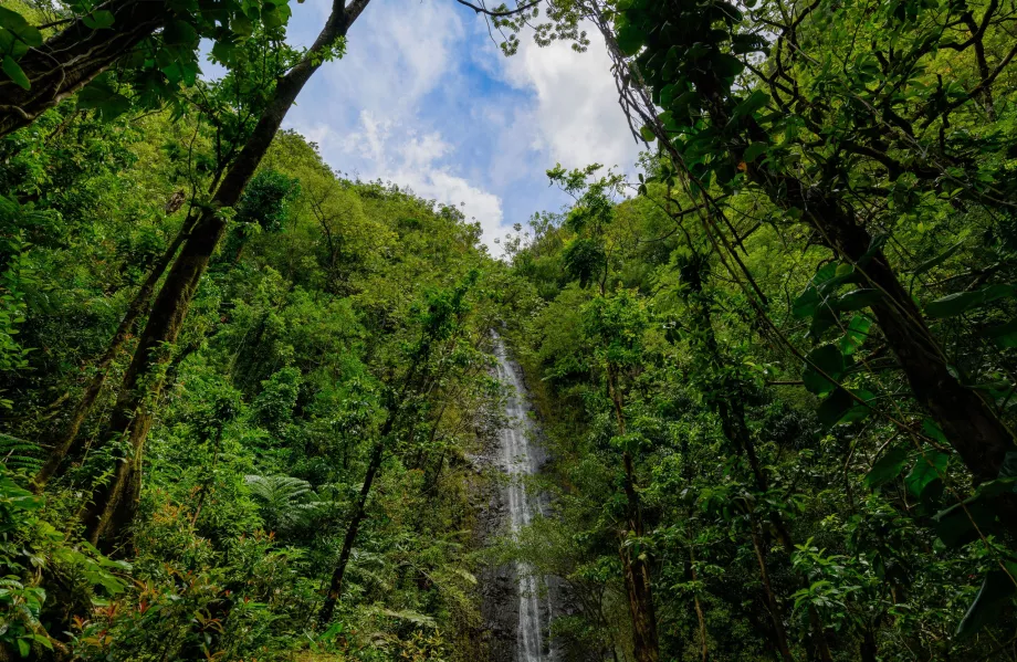 Chutes de Manoa