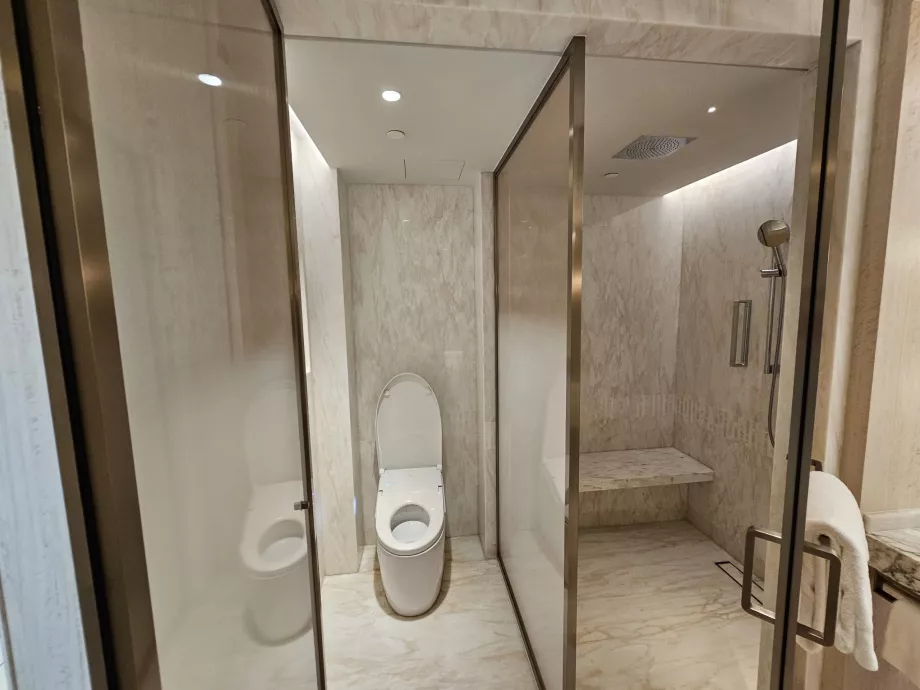 Douche et toilettes - porte ouverte