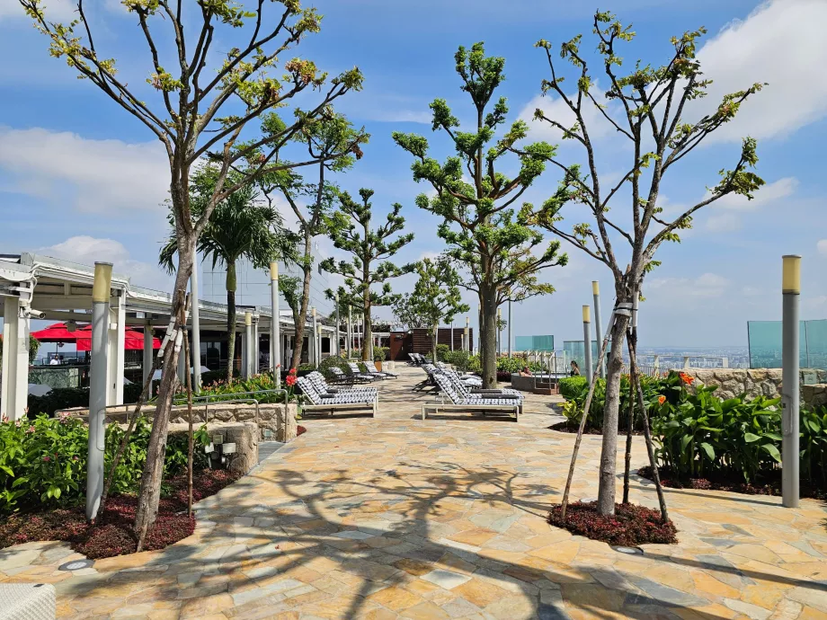 Chaises longues sur le toit-terrasse de l'hôtel MBS