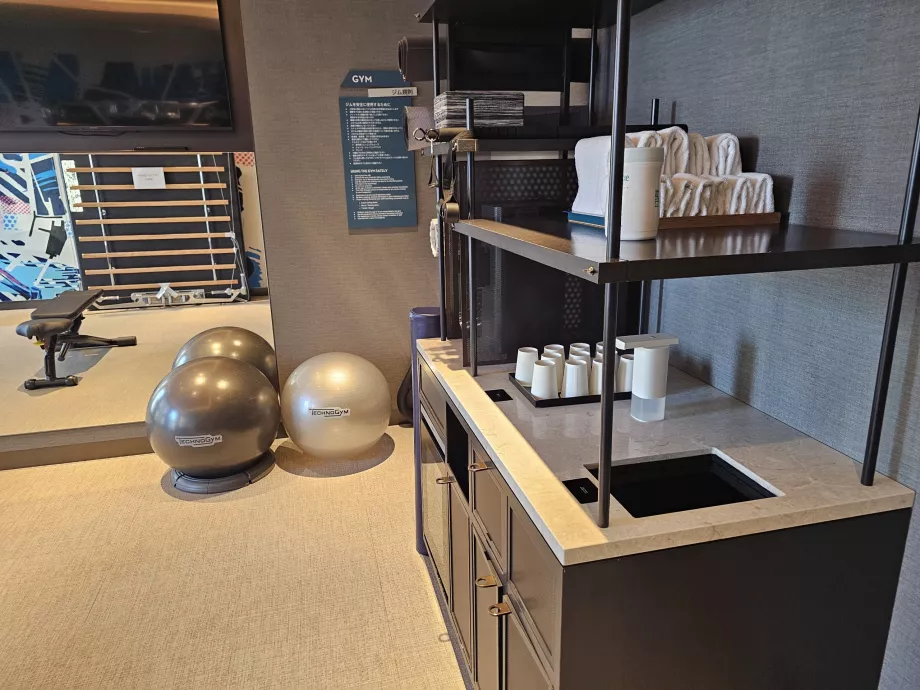 Centre de remise en forme