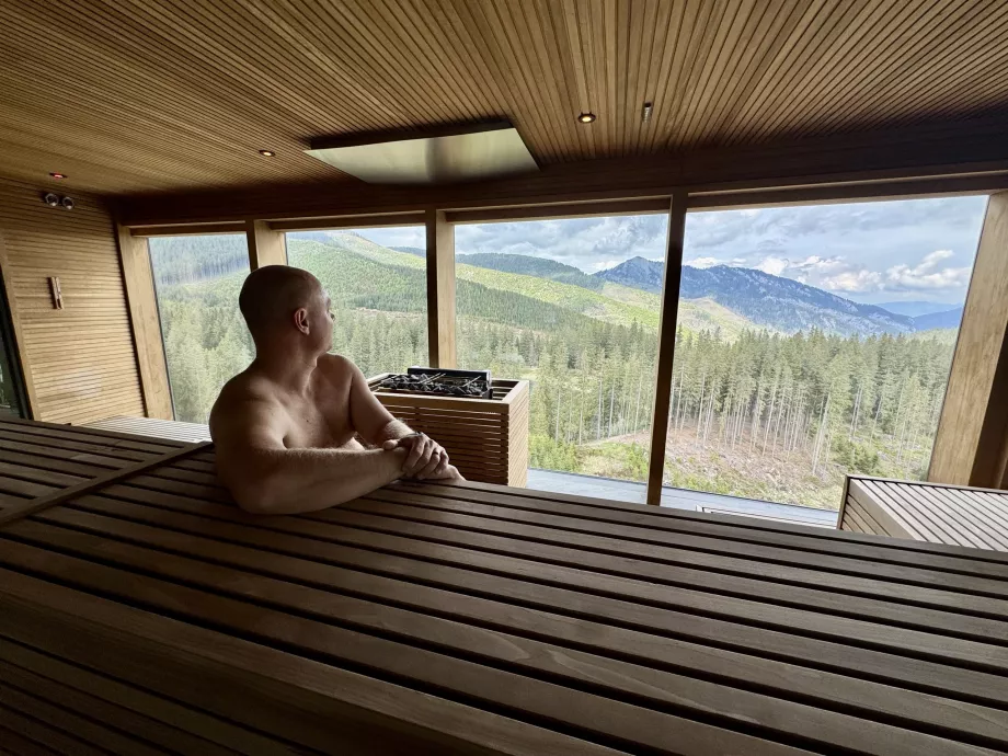 David dans le sauna
