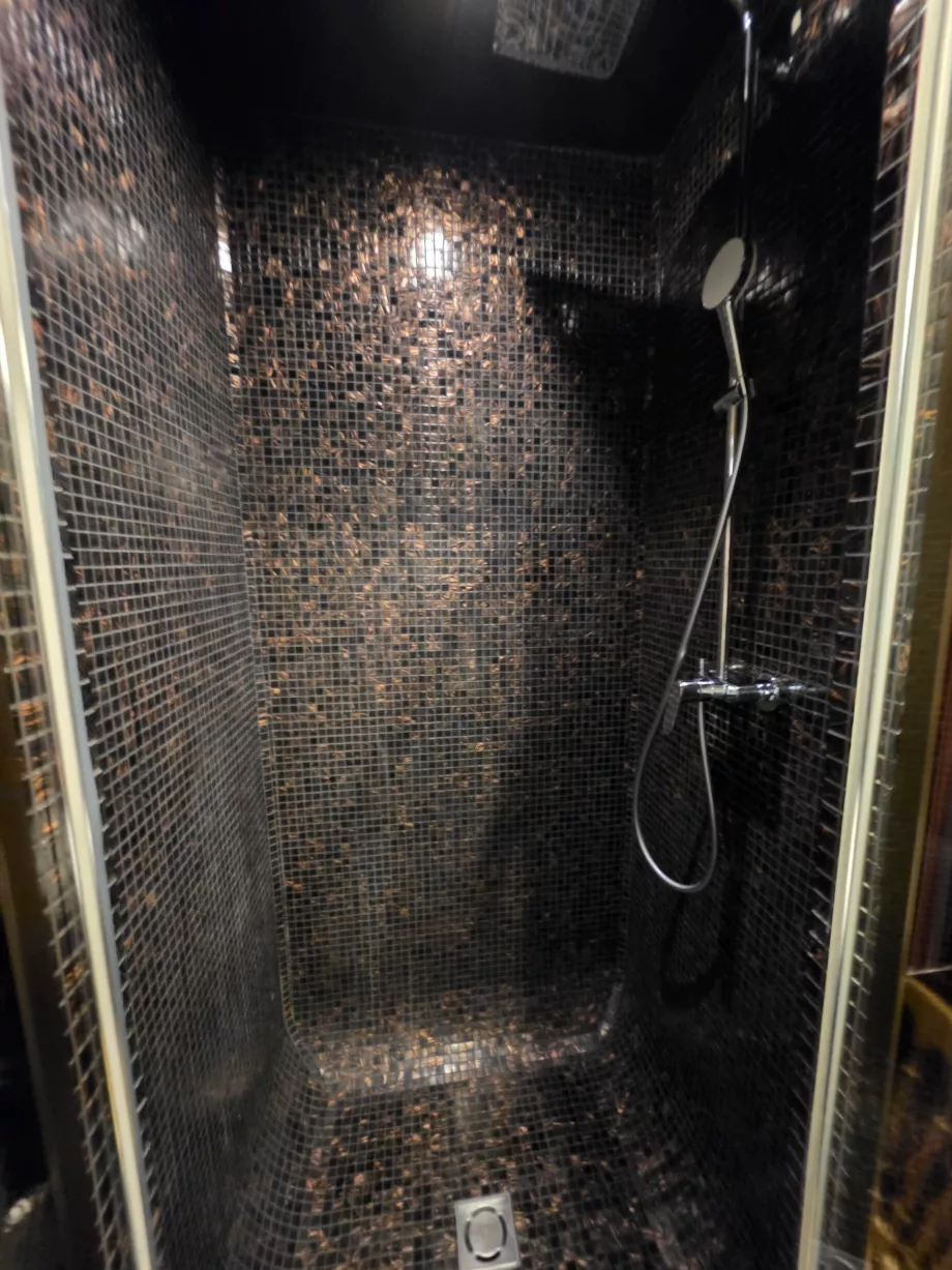 Cabine de douche dans la salle de bains attenante