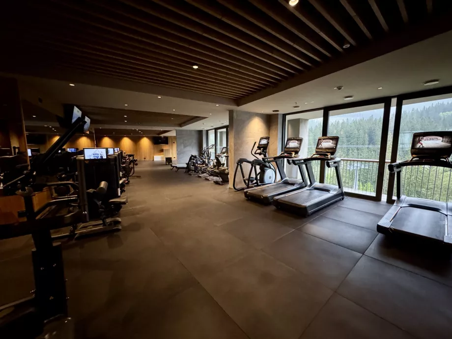 Centre de remise en forme Swissotel Damian Jasna