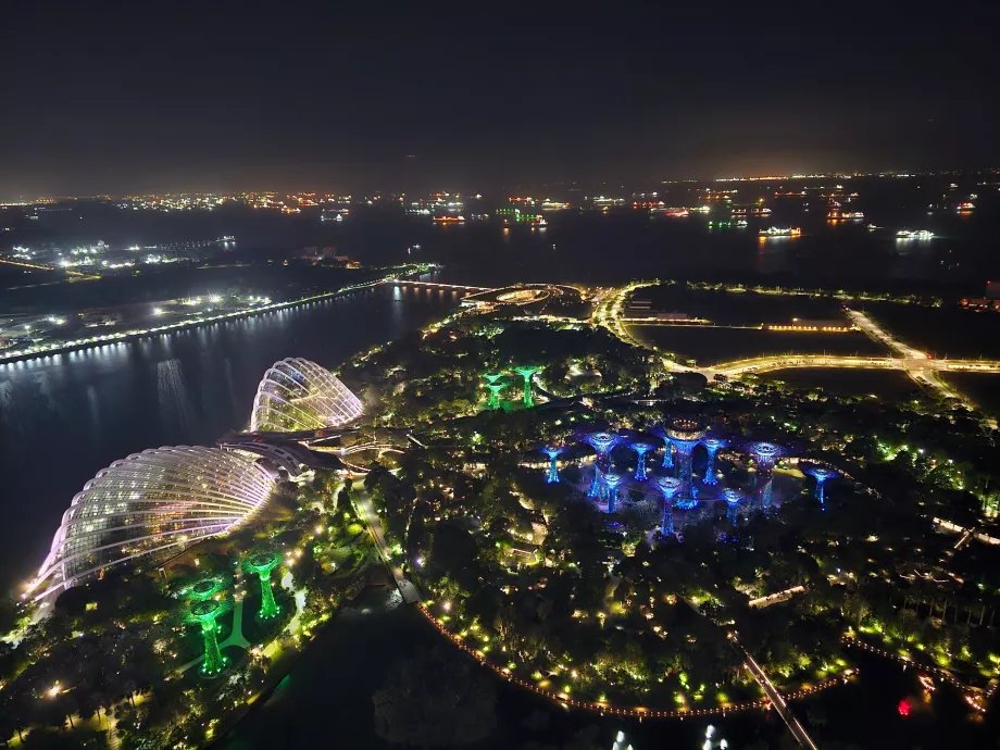 Vue nocturne de Gardens by the Bay