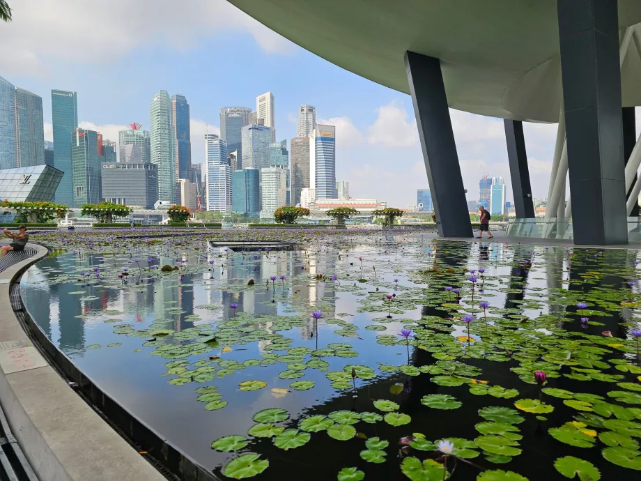 Musée des sciences de l'art