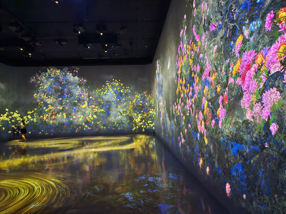 Musée des sciences de l'art