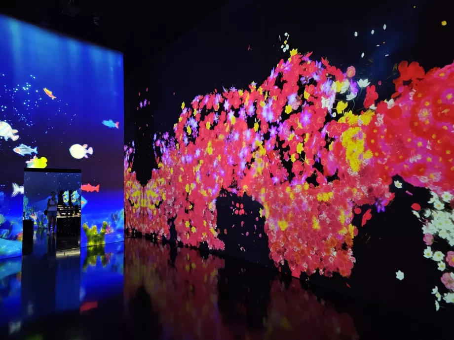 Musée des sciences de l'art