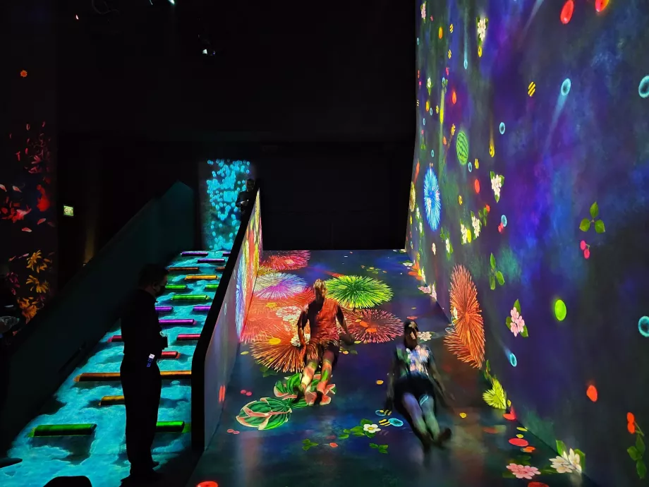 Musée des sciences de l'art