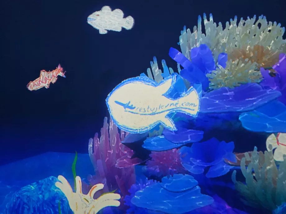 Musée des sciences de l'art