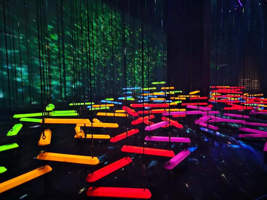 Musée des sciences de l'art