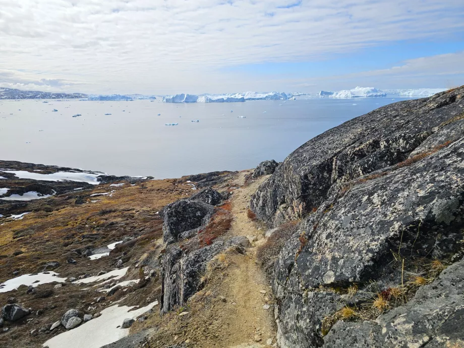 Randonnée le long de l'Icefiord