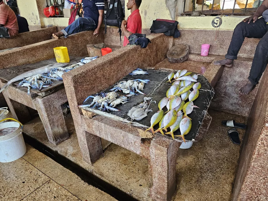 Marché aux poissons
