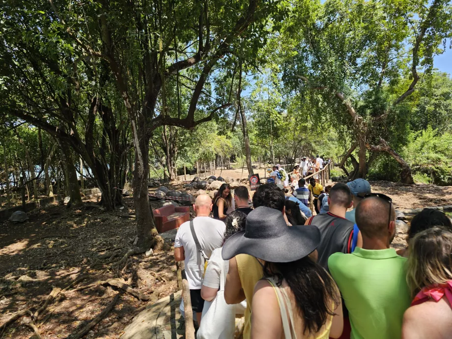 L'île-prison, un chemin à travers l'enclos des tortues géantes
