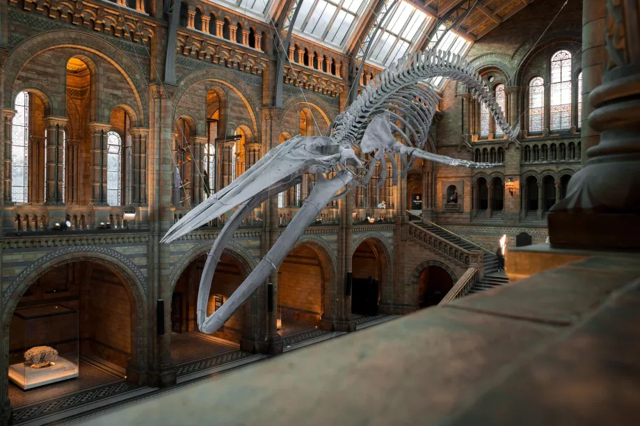 Musée national de la nature