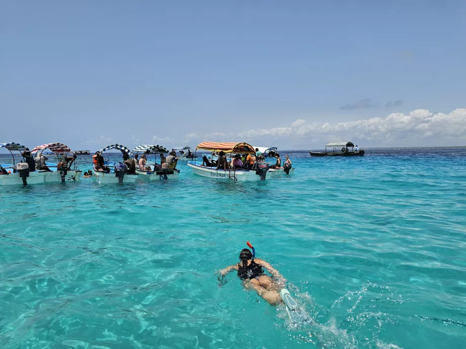 Plongée en apnée près de l'atoll de Mnemba