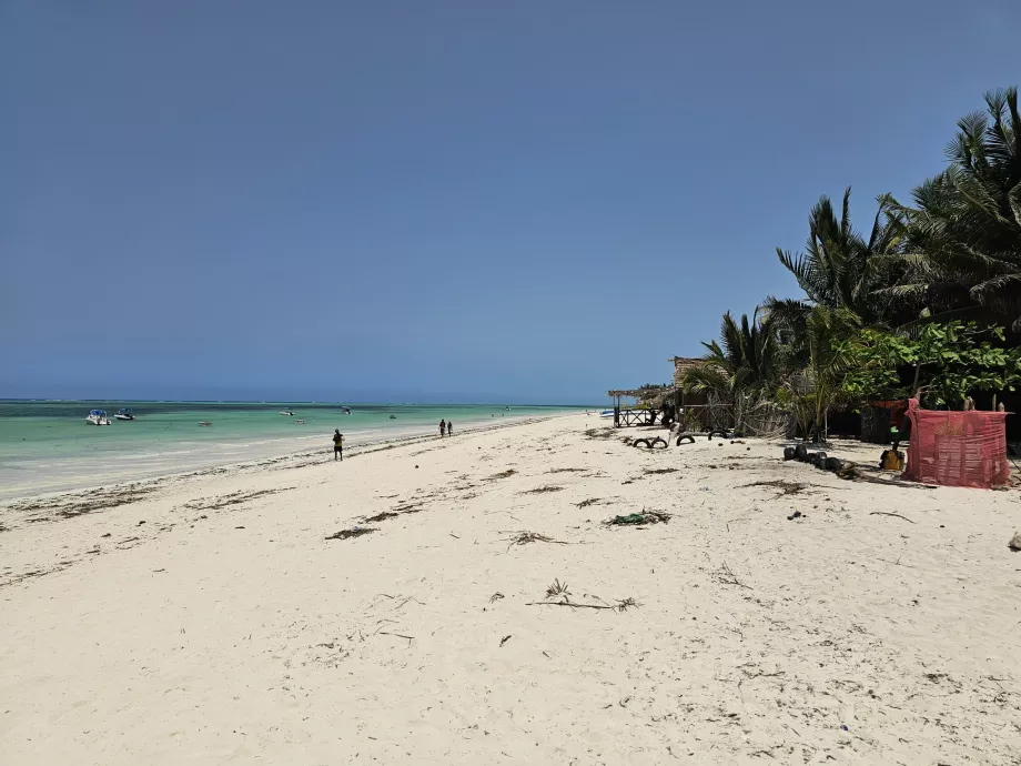 Plage de Pwani Mchangani