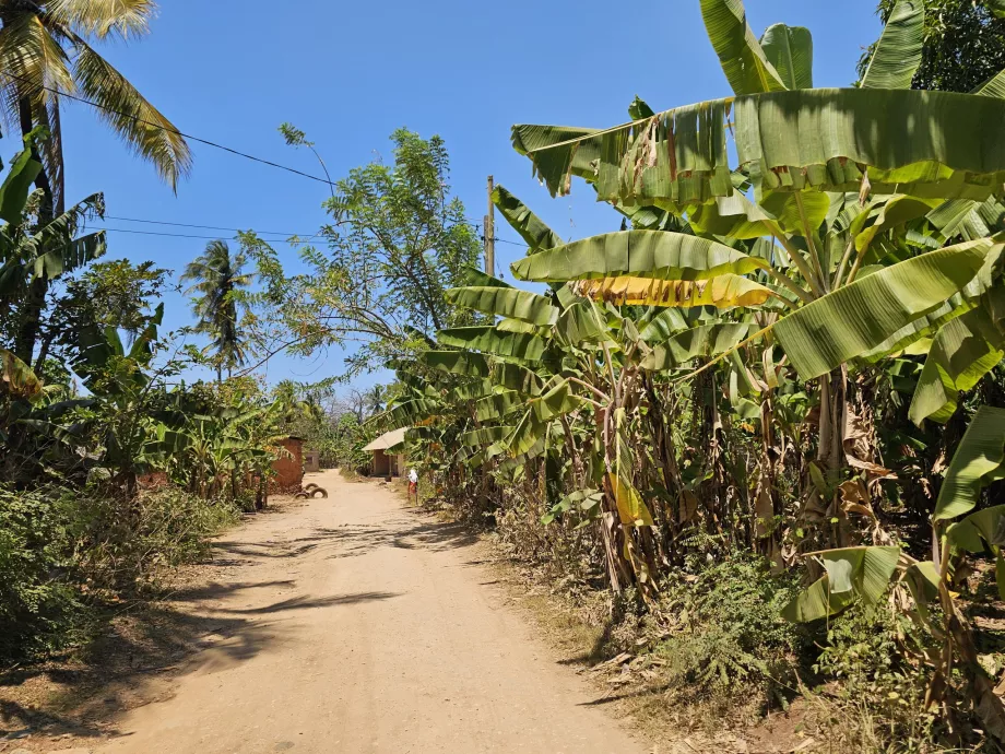 Chemin de terre latéral vers la plage de Mtende
