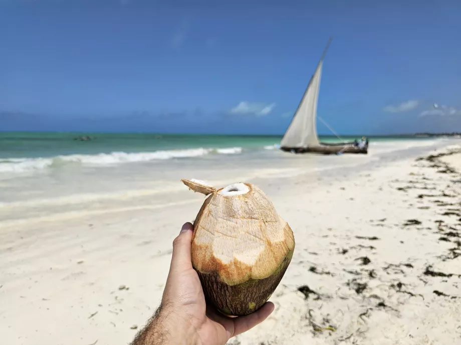 Noix de coco sur la plage de Paje