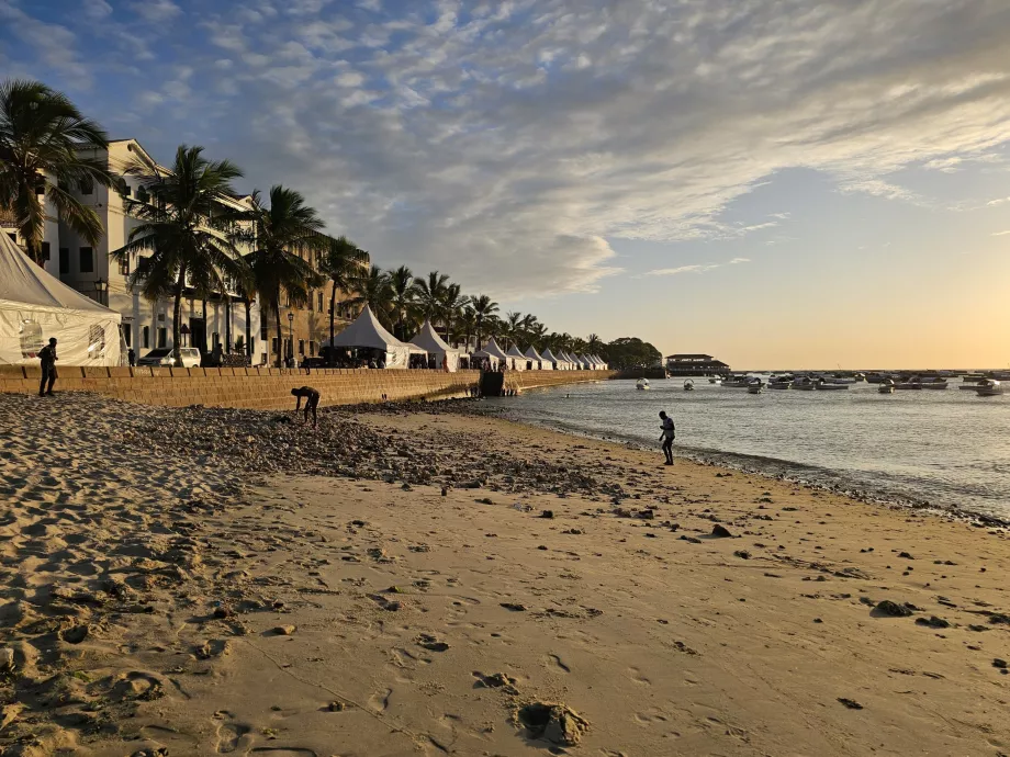 Plage de la promenade de Forodhani